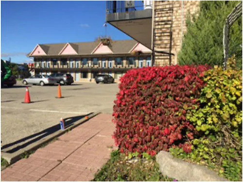 Falls Inn Near Casino Niagara By Oyo